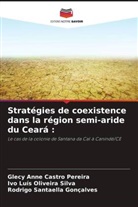 Glecy Anne Castro Pereira, Ivo Luís Oliveira Silva, Rodrigo Santaella Gonçalves - Stratégies de coexistence dans la région semi-aride du Ceará :