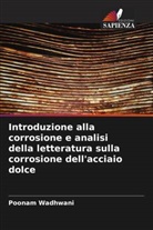 Poonam Wadhwani - Introduzione alla corrosione e analisi della letteratura sulla corrosione dell'acciaio dolce