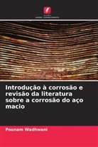 Poonam Wadhwani - Introdução à corrosão e revisão da literatura sobre a corrosão do aço macio