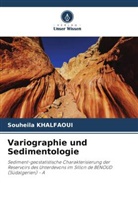 Souheila Khalfaoui - Variographie und Sedimentologie