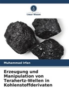 Muhammad Irfan - Erzeugung und Manipulation von Terahertz-Wellen in Kohlenstoffderivaten