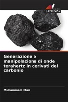 Muhammad Irfan - Generazione e manipolazione di onde terahertz in derivati del carbonio