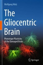 Wolfgang Walz - The Gliocentric Brain