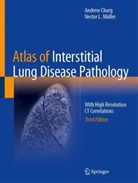 Andrew Churg, Nestor L Müller, Nestor L. Müller - Atlas of Interstitial Lung Disease Pathology
