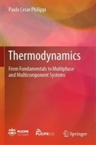 Paulo Cesar Philippi - Thermodynamics