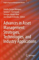Georges Abdul-Nour, Georges Abdul-Nour et al, Joe Amadi-Echendu, Adolfo Crespo Márquez, Turuna S Seecharan, Turuna S. Seecharan - Advances in Asset Management: Strategies, Technologies, and Industry Applications