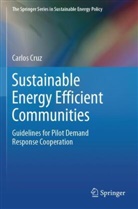 Carlos Cruz - Sustainable Energy Efficient Communities
