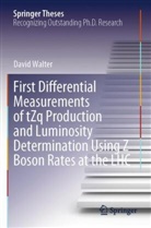 David Walter - First Differential Measurements of tZq Production and Luminosity Determination Using Z Boson Rates at the LHC