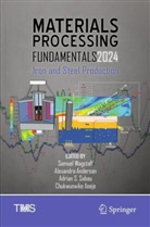 Alexandra Anderson, Chukwunwike Iloeje, Adrian S Sabau et al, Adrian S. Sabau, Samuel Wagstaff - Materials Processing Fundamentals 2024