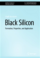 Gagik Ayvazyan - Black Silicon