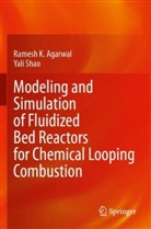 Ramesh K Agarwal, Ramesh K. Agarwal, Yali Shao - Modeling and Simulation of Fluidized Bed Reactors for Chemical Looping Combustion