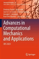 José A F O Correia et al, Hojjat Adeli, José A. F. O. Correia, Nicholas Fantuzzi, Georgios C. Georgiou, Knut Erik Giljarhus... - Advances in Computational Mechanics and Applications