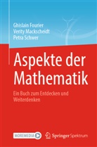 Ghislain Fourier, Verity Mackscheidt, Petr Schwer, Petra Schwer - Aspekte der Mathematik