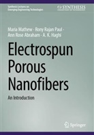 Ann Rose Abraham, Ann Rose e Abraham, A. K. Haghi, Maria Mathew, Rony Rajan Paul - Electrospun Porous Nanofibers