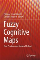 Philippe J. Giabbanelli, Philippe J Giabbanelli, Nápoles, Gonzalo Nápoles - Fuzzy Cognitive Maps