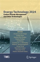 Shafiq Alam, Alafara Abdullahi Baba, Donna Post Guillen, Nawshad Haque, Susanna A. C. Hockaday, Chukwunwike Iloeje... - Energy Technology 2024