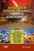 Gerardo R. F. Alvear Flores, Camille Fleuriault, Dean Gregurek, Dean Gregurek et al, Hugo Joubert, Phillip J. Mackey... - Advances in Pyrometallurgy