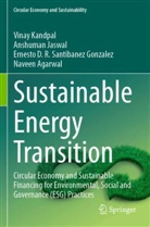 Naveen Agarwal, Anshuman Jaswal, Vinay Kandpal, Santibanez Gonzale, Ernesto D.R. Santibanez Gonzalez - Sustainable Energy Transition