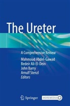 Mahmoud Abdel-Gawad, Bedeir Ali-El-Dein, John Barry, John Barry et al, Arnulf Stenzl - The Ureter