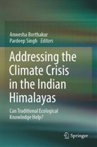 Anwesha Borthakur, Singh, Pardeep Singh - Addressing the Climate Crisis in the Indian Himalayas