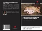 Belise M. O. Bezerra, Amanda Medeiros Araujo de Oliveira, Tiago Silva Andrade - Placental Efficiency and Calving Order in Pigs
