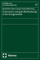 Monika Böhm, Markus Ludwigs, Müller, Thorsten Müller, Stiftung Umweltenergierecht, Stiftung Umweltenergierecht - Governance und gute Rechtsetzung in der Energiewende