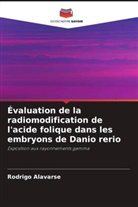 Rodrigo Alavarse - Évaluation de la radiomodification de l'acide folique dans les embryons de Danio rerio