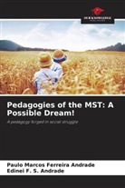 Edinei F. S. Andrade, Paulo Marcos Ferreira Andrade - Pedagogies of the MST: A Possible Dream!