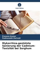 Padmanabh Dwivedi, Prasann Kumar - Mykorrhiza-gestützte Sanierung der Cadmium-Toxizität bei Sorghum