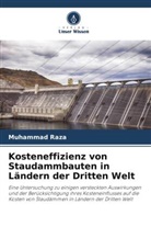 Muhammad Raza - Kosteneffizienz von Staudammbauten in Ländern der Dritten Welt