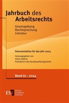 Inken Gallner - Jahrbuch des Arbeitsrechts
