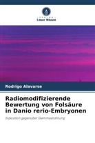Rodrigo Alavarse - Radiomodifizierende Bewertung von Folsäure in Danio rerio-Embryonen