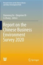 Qingmiao Bi, Xianxiang Xu, Li Zhang - Report on the Chinese Business Environment Survey 2020