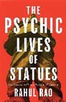 Rahul Rao - Psychic Lives of Statues