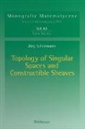 Jörg Schürmann - Topology of Singular Spaces and Constructible Sheaves