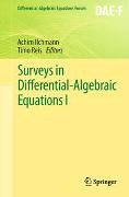 Achim Ilchmann, Timo Reis - Surveys in Differential-Algebraic Equations I