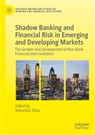 Sheunesu Zhou - Shadow Banking and Financial Risk in Emerging and Developing Markets