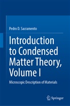 Pedro D Sacramento, Pedro D. Sacramento - Introduction to Condensed Matter Theory, Volume I