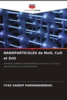 VYAS SANDIP PARMANANDBHAI - NANOPARTICULES de MnO, CuO et ZnO