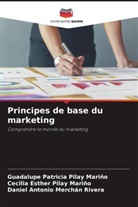 Daniel Antonio Merchán Rivera, Cecilia Esther Pilay Mariño, Guadalupe Patricia Pilay Mariño - Principes de base du marketing