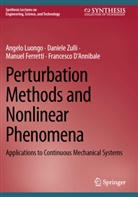 Francesco D'Annibale, Manuel Ferretti, Manuel et Ferretti, Angelo Luongo, Daniele Zulli - Perturbation Methods and Nonlinear Phenomena