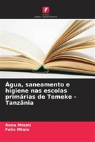 Anna Mremi, Felix Mtalo - Água, saneamento e higiene nas escolas primárias de Temeke - Tanzânia