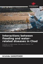 Aristide GANGPENDE - Interactions between flooding and water-related diseases in Chad
