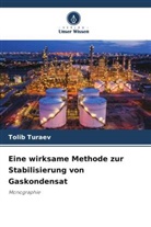 Tolib Turaev - Eine wirksame Methode zur Stabilisierung von Gaskondensat
