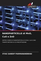 Vyas Sandip Parmanandbhai - NANOPARTICELLE di MnO, CuO e ZnO
