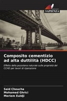 Said Choucha, Meriem Euldji, Mohamed Ghrici - Composito cementizio ad alta duttilità (HDCC)