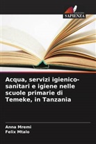 Anna Mremi, Felix Mtalo - Acqua, servizi igienico-sanitari e igiene nelle scuole primarie di Temeke, in Tanzania
