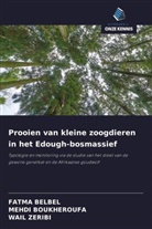 FATMA BELBEL, Mehdi BOUKHEROUFA, WAIL ZERIBI - Prooien van kleine zoogdieren in het Edough-bosmassief