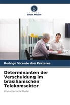 Rodrigo Vicente dos Prazeres - Determinanten der Verschuldung im brasilianischen Telekomsektor