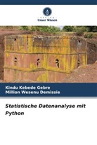 Kindu Kebede Gebre, Million Wesenu Demissie - Statistische Datenanalyse mit Python